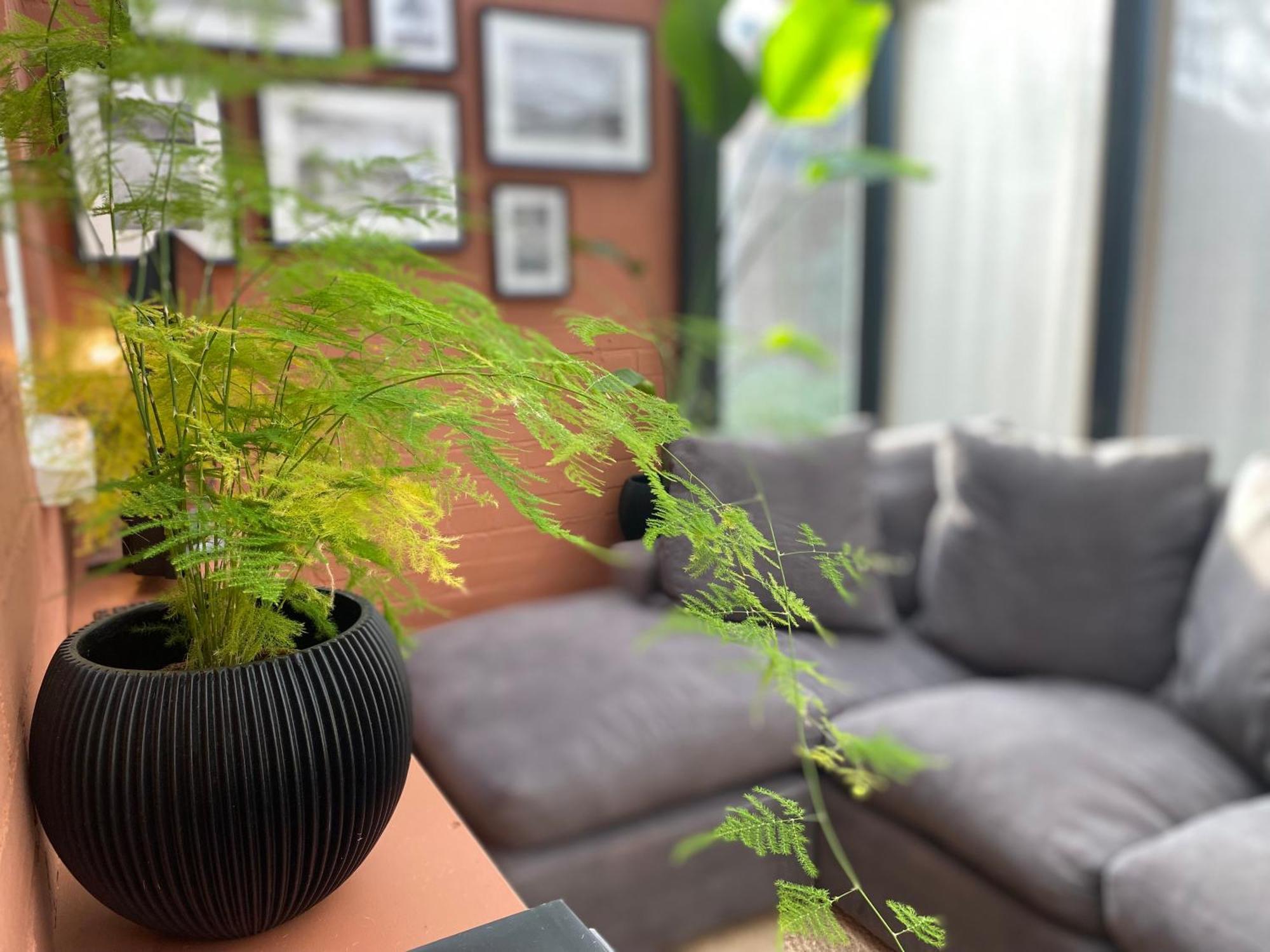 Beautifully Appointed One-Bedroom Cottage 솁프레스 외부 사진